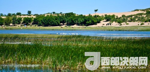 阿魯科爾沁保護(hù)區(qū)濕地沙丘。吳勇攝