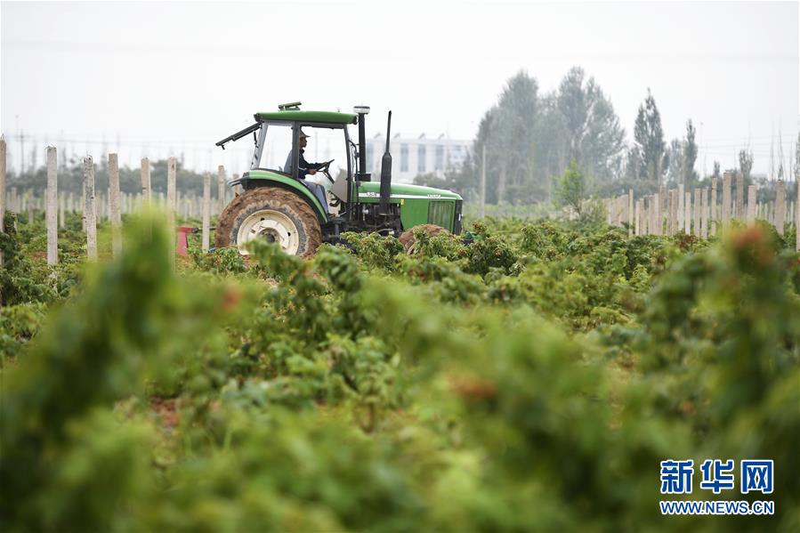 （壯麗70年·奮斗新時(shí)代——共和國(guó)發(fā)展成就巡禮·圖文互動(dòng)）（10）生態(tài)美、百姓富——品讀嶄新“寧夏畫(huà)卷”