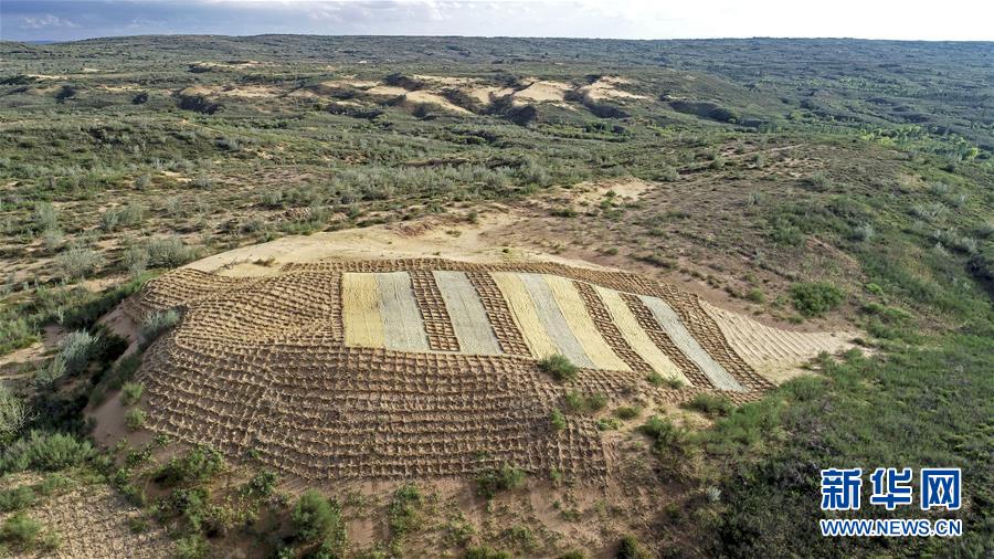 （壯麗70年·奮斗新時(shí)代——共和國(guó)發(fā)展成就巡禮·圖文互動(dòng)）（6）生態(tài)美、百姓富——品讀嶄新“寧夏畫(huà)卷”