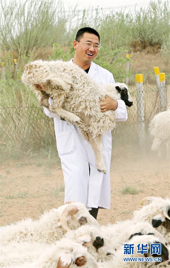 （壯麗70年·奮斗新時(shí)代——共和國(guó)發(fā)展成就巡禮·圖文互動(dòng)）（3）生態(tài)美、百姓富——品讀嶄新“寧夏畫(huà)卷”