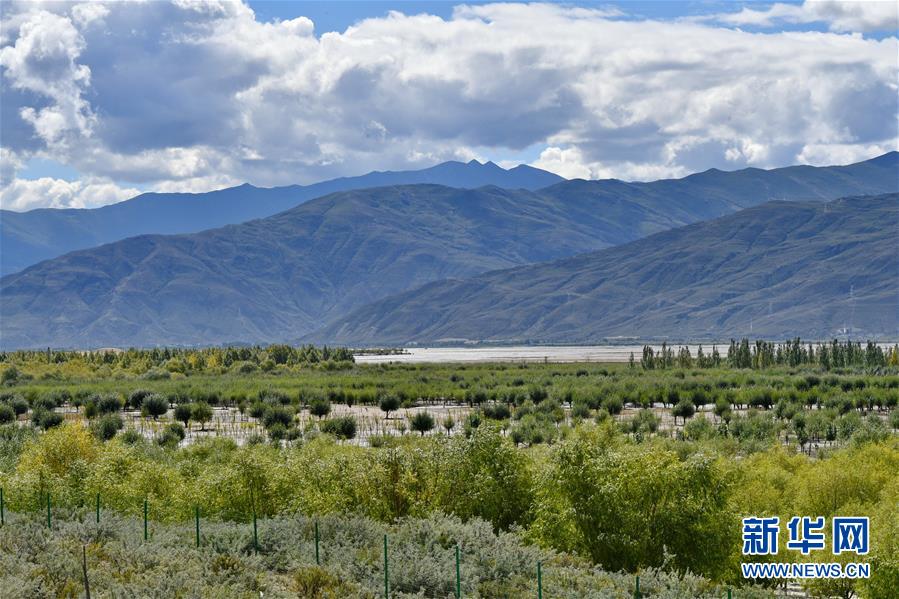 （圖文互動(dòng)）（4）“今天的生活，就像夢(mèng)里夢(mèng)到那樣甜”——寫在西藏百萬農(nóng)奴解放61周年之際