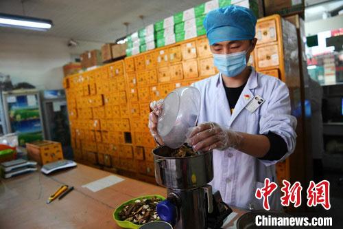 疫情發(fā)生以來，甘肅確保所有病例盡早、及時、全程使用中醫(yī)中藥，努力做到“一患一方案”。(資料圖) 楊艷敏 攝