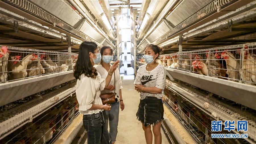 （新華全媒頭條·圖文互動）（4）基層天地廣闊 青春大有作為——聚焦“三支一扶”計劃實施十五年