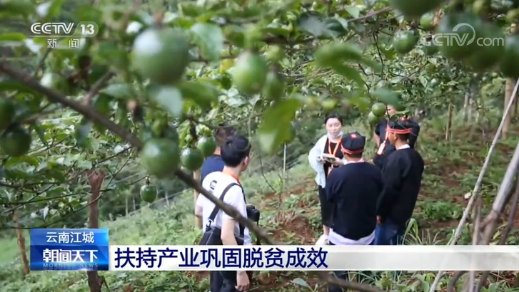 點擊進(jìn)入下一頁