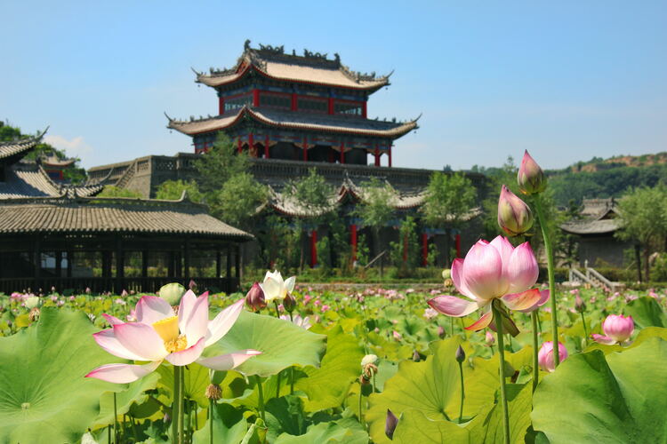 【云游渭南】心中若有桃花源，此處便是水云間！待疫情散盡，一起來渭南桃花源賞美景、觀民俗、享美食_fororder_2